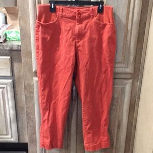 Pretty Pre-Owned “two twenty.” Women’s Size 14 Petite Pants